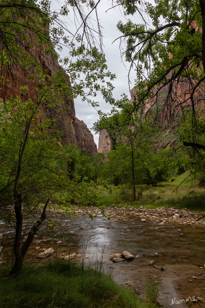 Zion NP
Utah
Schlüsselwörter: 2025