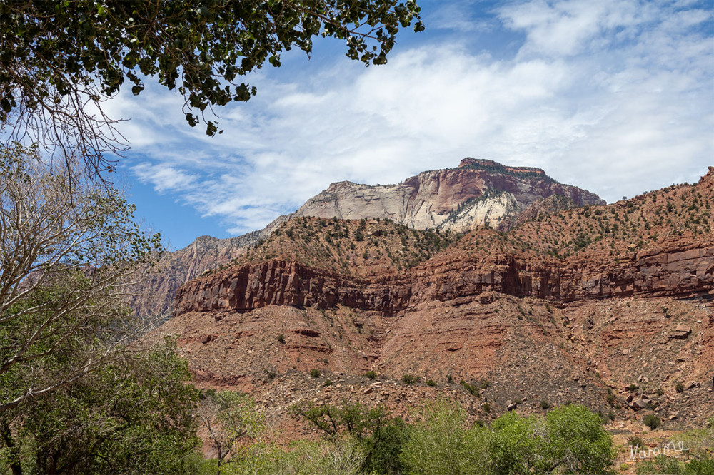 Zion NP
Durchfahrt durch den Zion NP. Leider hat es vorher geregnet.
Schlüsselwörter: 2025