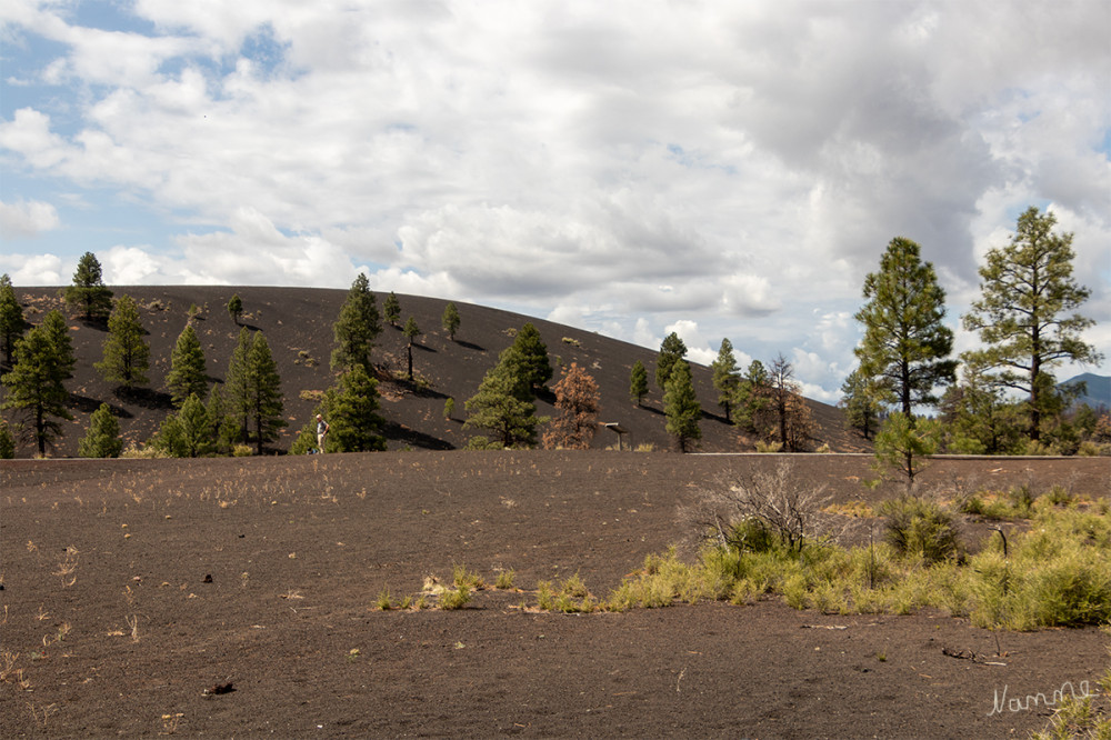 Wupatki Sunset Crater Volcano NM
Arizona 
Bonita Lava Flor
Schlüsselwörter: 2025