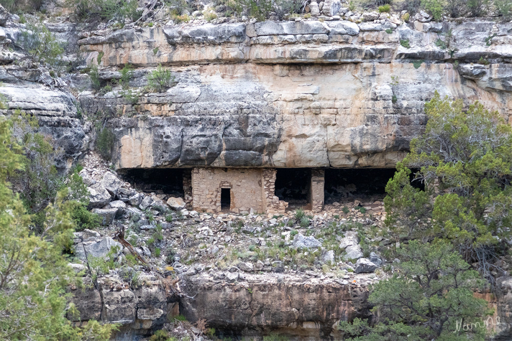 Walnut Canyon NM
Arizona
Schlüsselwörter: 2025