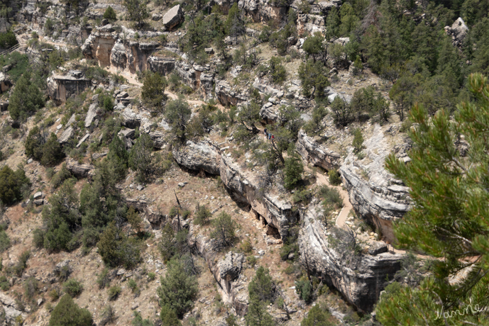 Walnut Canyon NM
Arizona
Blick auf die Ruinen unter den Felsvorsprüngen 
Schlüsselwörter: 2025