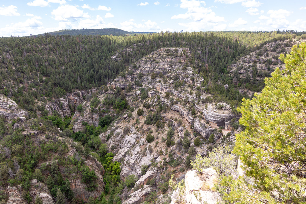 Blick in den Walnut Canyon NM
Arizona
Wenn man genau hinschaut kann man den Weg entlang der Ruinen und die Ruinen selber erkennen.
Schlüsselwörter: 2025