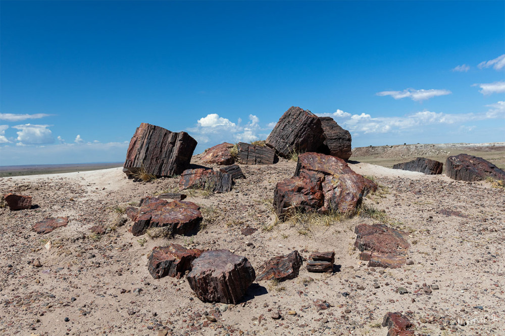 Petrified Forest NP
Schlüsselwörter: 2025