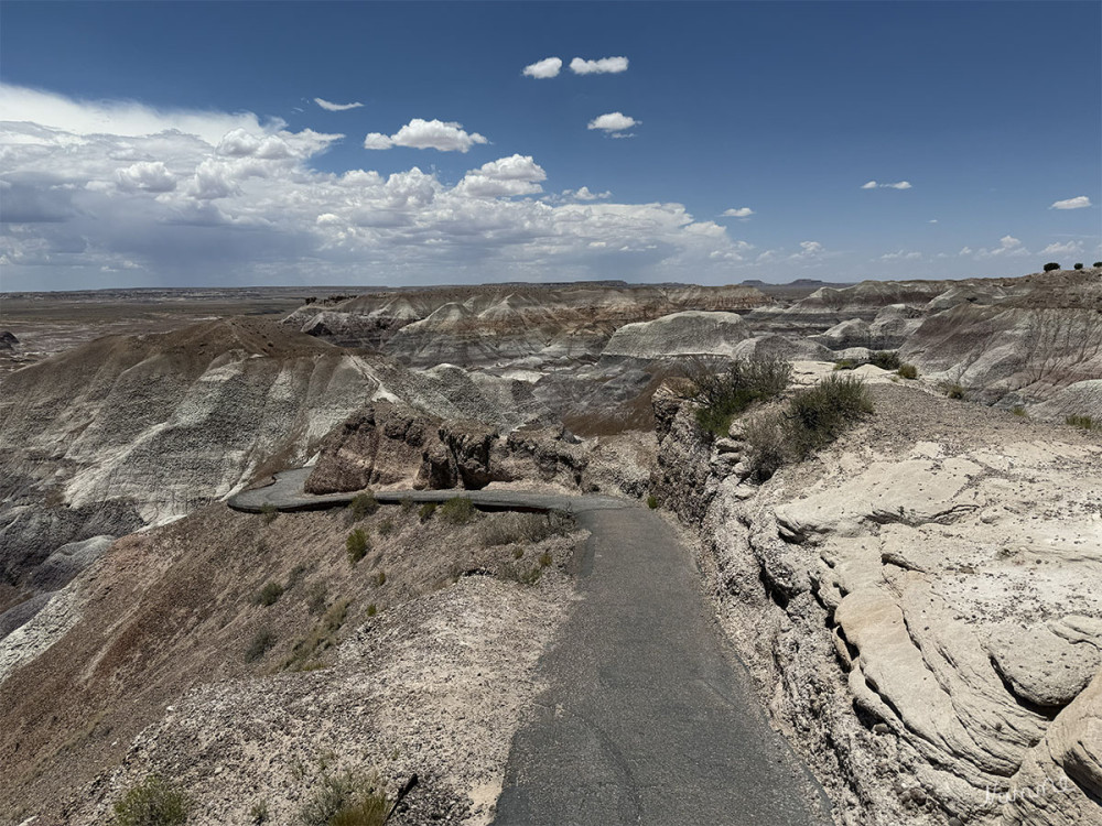 Petrified Forest NP
DieseN weg sind wir hinunter gegangen.
Schlüsselwörter: 2025