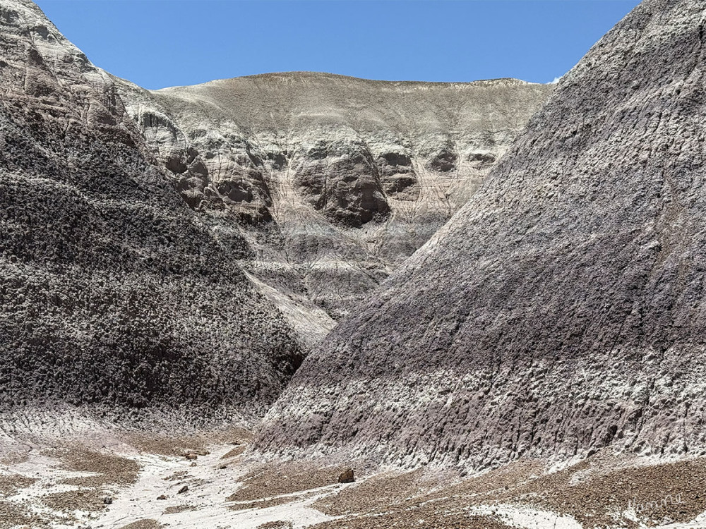 Petrified Forest NP
Schlüsselwörter: 2025