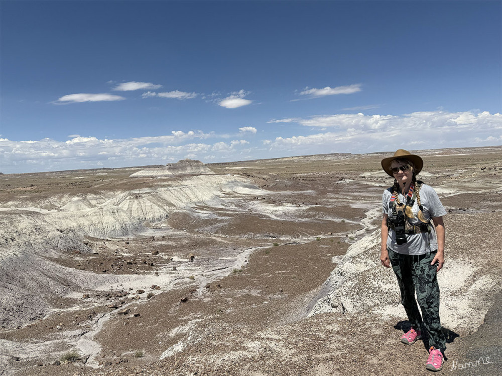 Petrified Forest NP
Schlüsselwörter: 2025