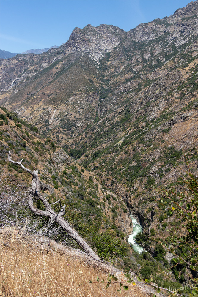 Kings Canyon
Kalifornien
Schlüsselwörter: 2025