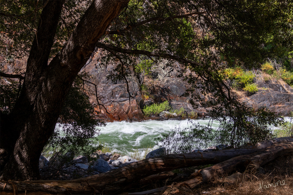 Kings Canyon
Kalifornien
Wieder Kings River
Schlüsselwörter: 2025
