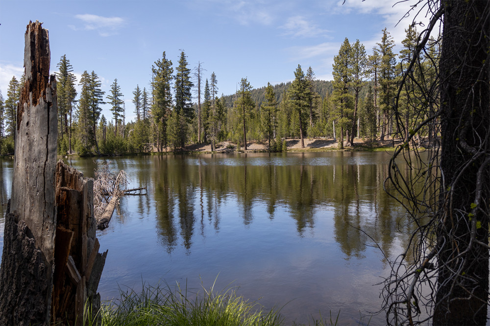 Lassen Volcanic NP
Spaziergang rund um den Reflections Lake
Kalifornien
Schlüsselwörter: 2025