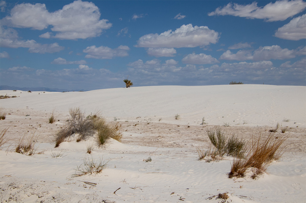 White Sands Nationalpark
New Mexico
Schlüsselwörter: 2025