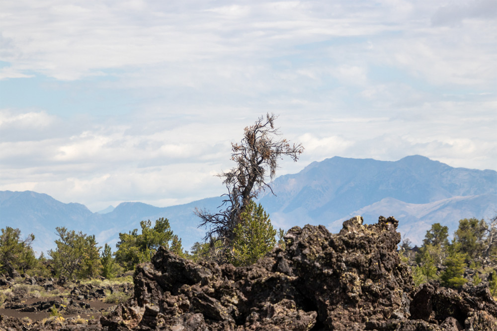 Craters of the Moon NM
Idaho
Schlüsselwörter: 2025