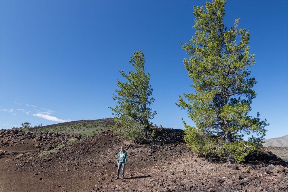 Craters of the Moon NM
Idaho 
Schlüsselwörter: 2025