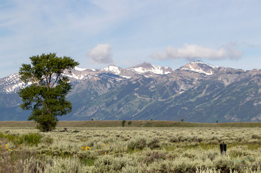Grand Teton NP
Am nächsten Morgen sah die Welt schon anders aus.
Schlüsselwörter: 2025
