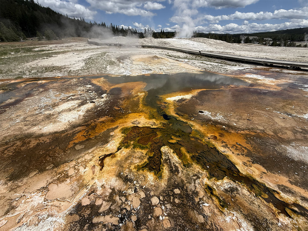 Yellowstone NP
Schlüsselwörter: 2025