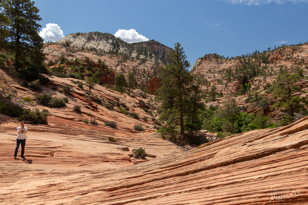 Zion NP
Utah
Kleiner Mensch in großartiger Natur
Schlüsselwörter: 2025