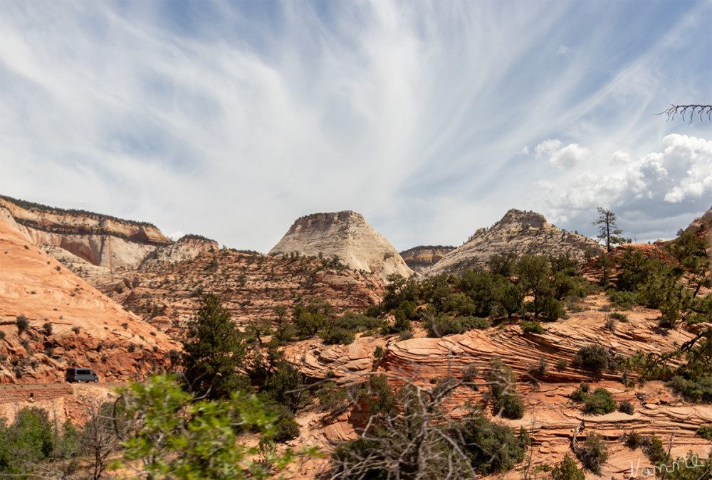 Zion NP
Utah 
Schlüsselwörter: 2025