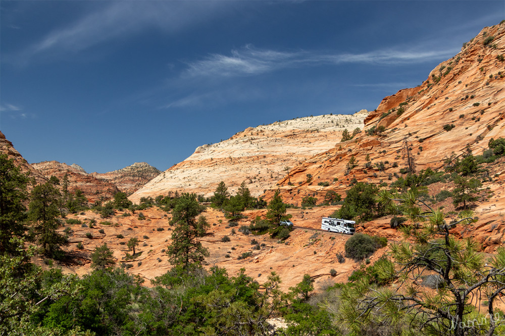 Zion NP
Utah 
Schlüsselwörter: 2025