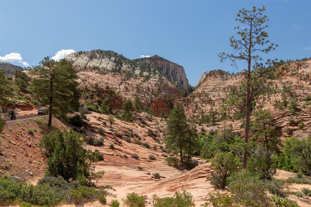 Zion NP
Utah 
Schlüsselwörter: 2025