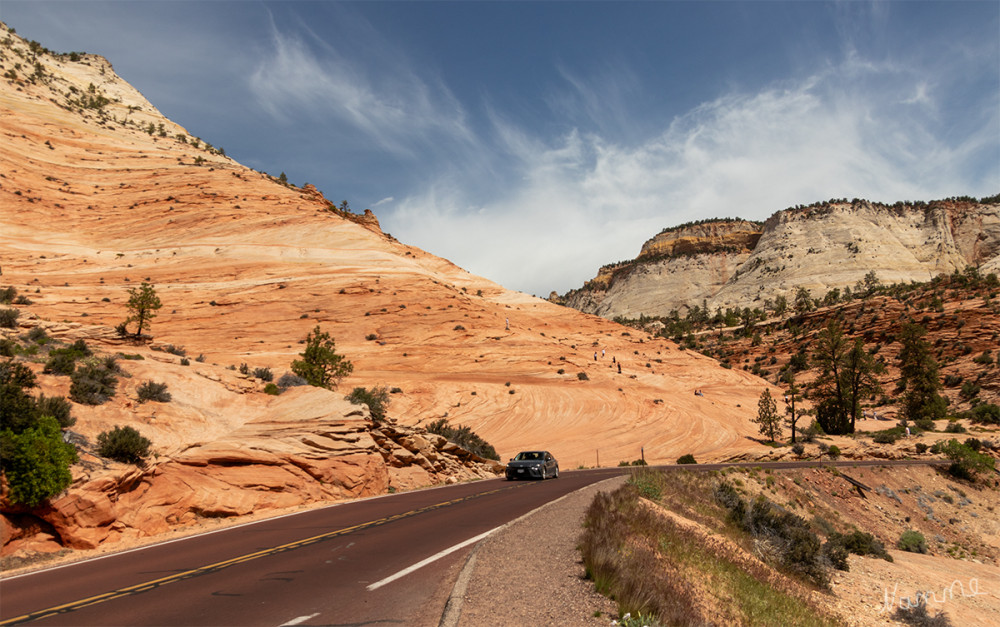 Zion NP
Utah 
Schlüsselwörter: 2025