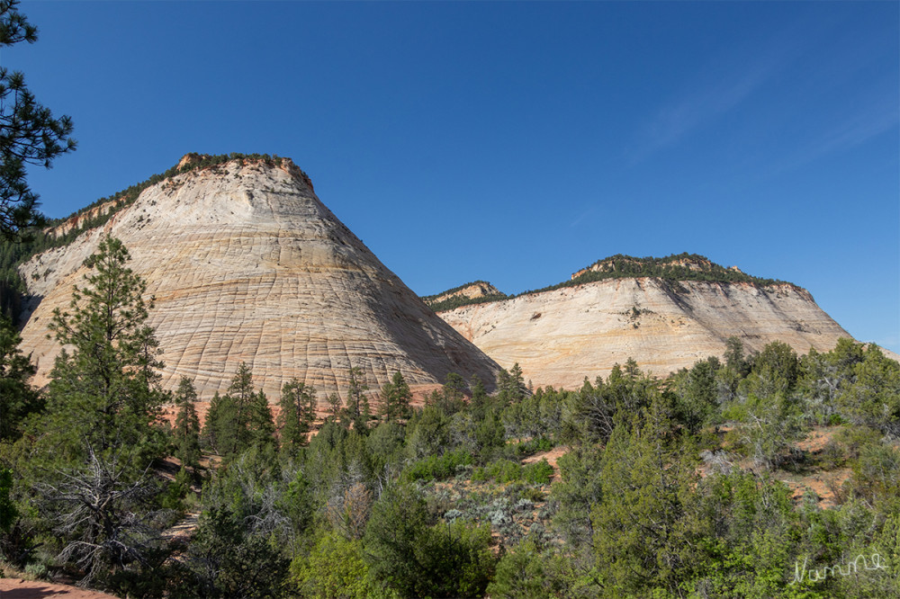 Zion NP
Schlüsselwörter: 2025