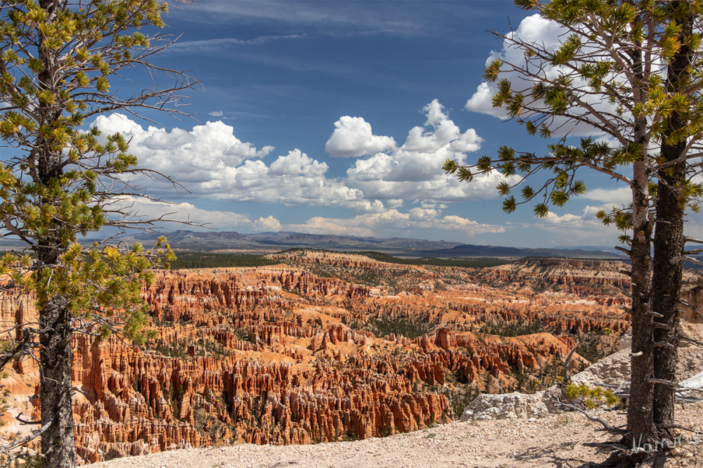 Bryce Canyon 
Utah 
Schlüsselwörter: 2025