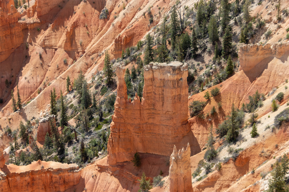 Bryce Canyon 
Utah 
Schlüsselwörter: 2025