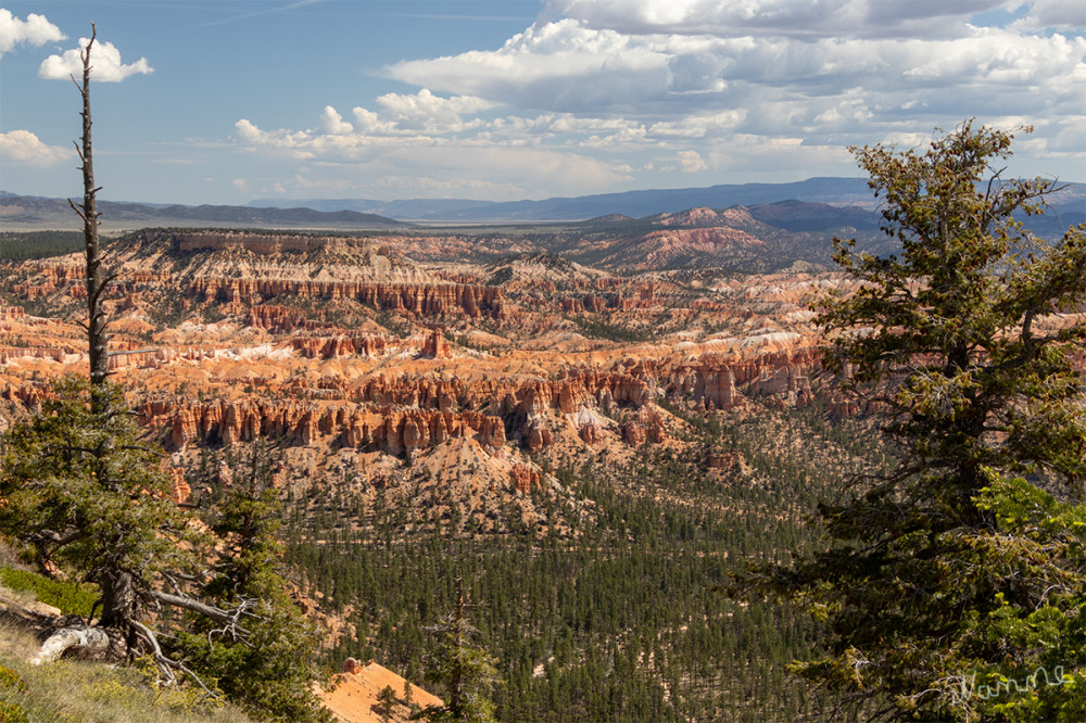 Bryce Canyon 
Utah 
Schlüsselwörter: 2025