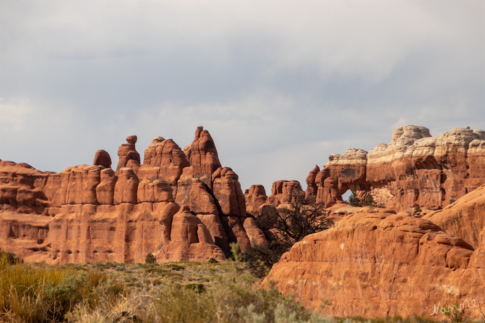 Arches NP
Aussicht vom Devils Garden aus
Schlüsselwörter: 2025