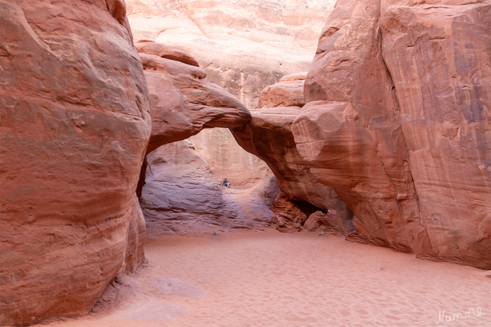 Arches NP
Utah 
Sand Dune Arch
Schlüsselwörter: 2025