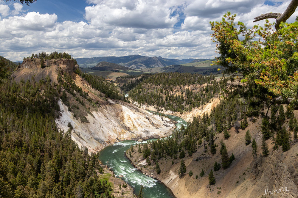 Yellowstone NP
Blick in den „Grand Canyon“ des Yellowstones
Schlüsselwörter: 2025
