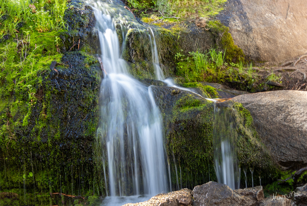 Sequoia NP
Schlüsselwörter: 2025