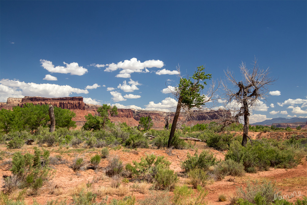 Im Bears Ears NM
Weit weg von der Zivilitation
Utah
Schlüsselwörter: 2025