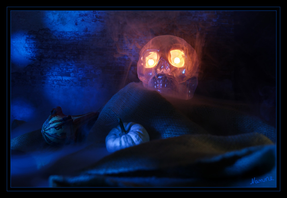 Spooky
Wenn die Nächte dunkler werden in den nördlichen Gebieten, es kälter und windiger draußen wird, hört man oft das Wort „spooky“. Ganz besonders zu Halloween am 31.Oktober wird es spooky, wenn viele sich als Gespenster, Hexen, Zombies oder andere Monster verkleiden und viele spooky Halloween-Parties stattfinden. lt.positivelylanguages
Schlüsselwörter: 2026