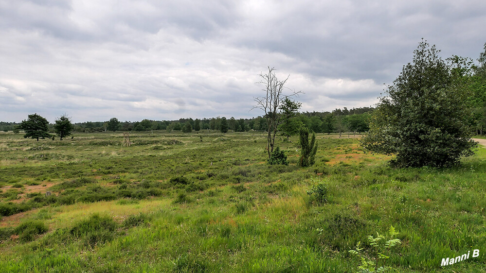 Radtour v. Brüggen in den Elmpter Bruch
Heidelandschaft
