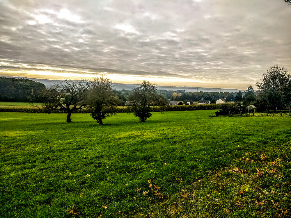 Herbstlich " Landschaft"
Manni
Schlüsselwörter: 2021