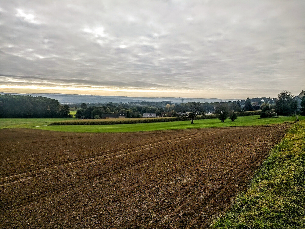 Herbstlich "Landschaft"
Manni
Schlüsselwörter: 2021