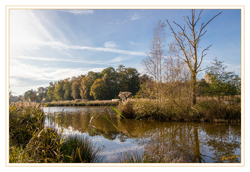 Herbstliche Landschaft
