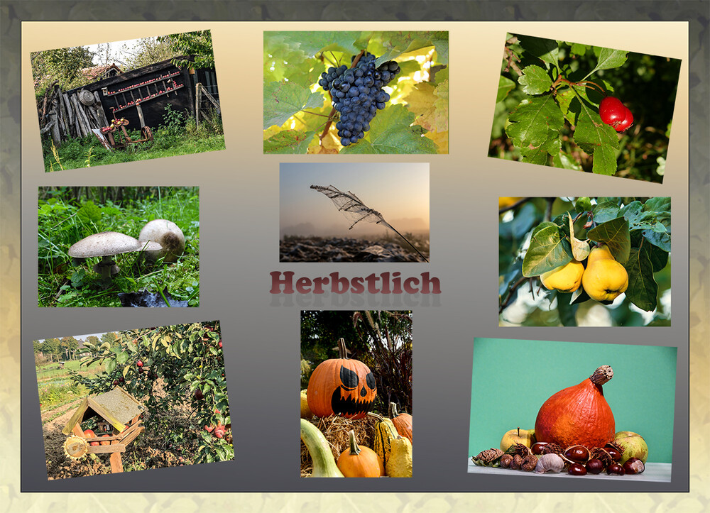 Herbstlich
