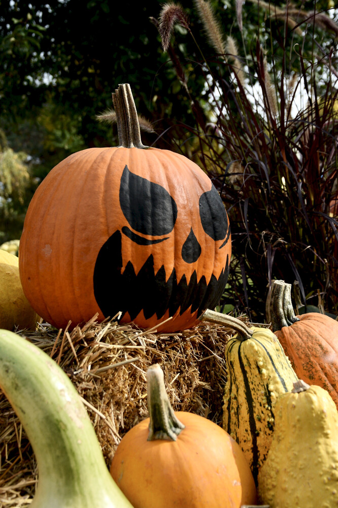 Herbstlich "Halloweenzeit"
Janine
Schlüsselwörter: 2021