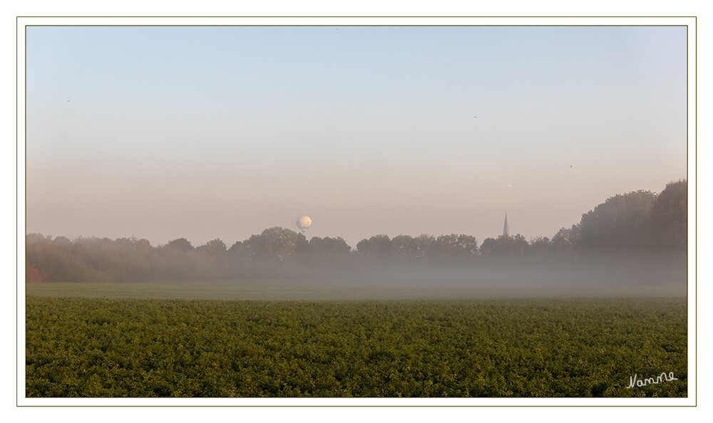 Morgens
mit dem Sonnenlicht löst sich der Bodennebel langsam auf.
Schlüsselwörter: Herbst