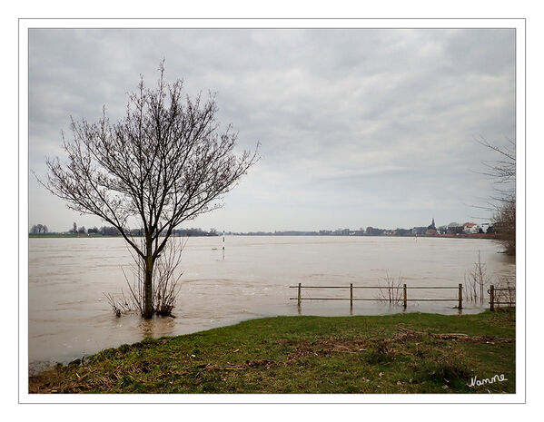 Hochwasser
Schlüsselwörter: Neuss; Grimlinghausen; Rhein