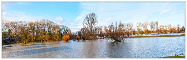 Auf den Wiesen
Hochwasser zum Jahreswechsel
