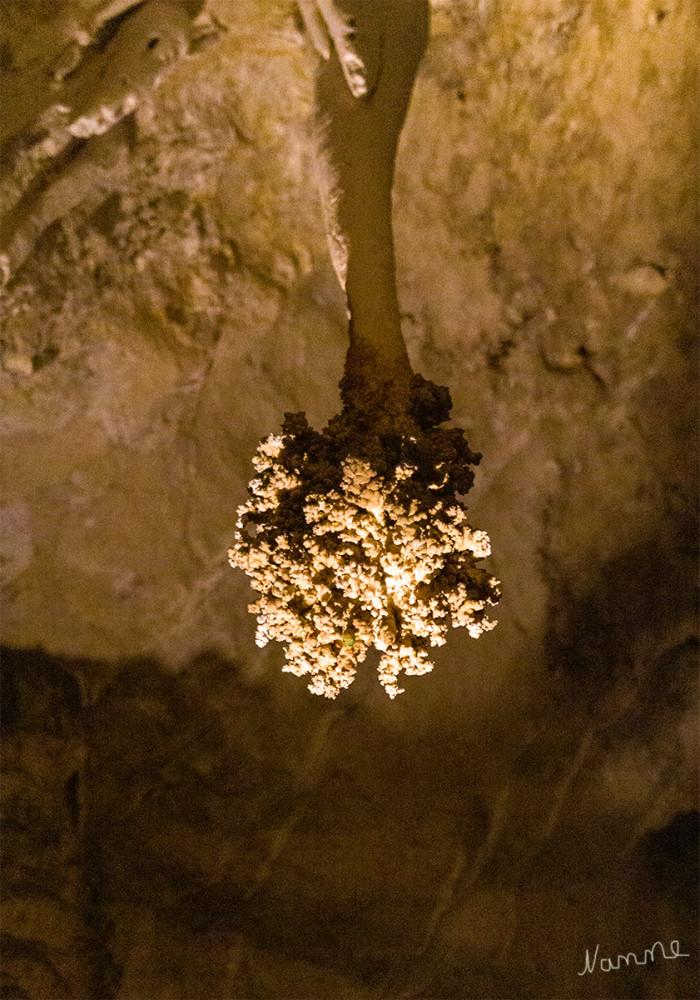 Carlsbad Caverns NP
New Mexico
Schlüsselwörter: 2025