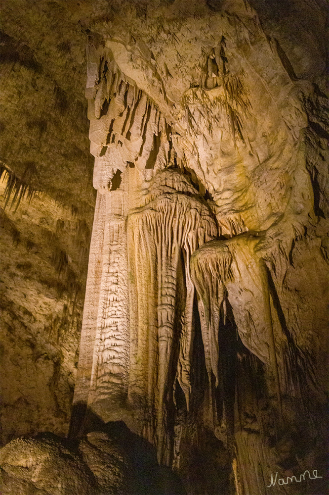 Carlsbad Caverns NP
New Mexico
Schlüsselwörter: 2025