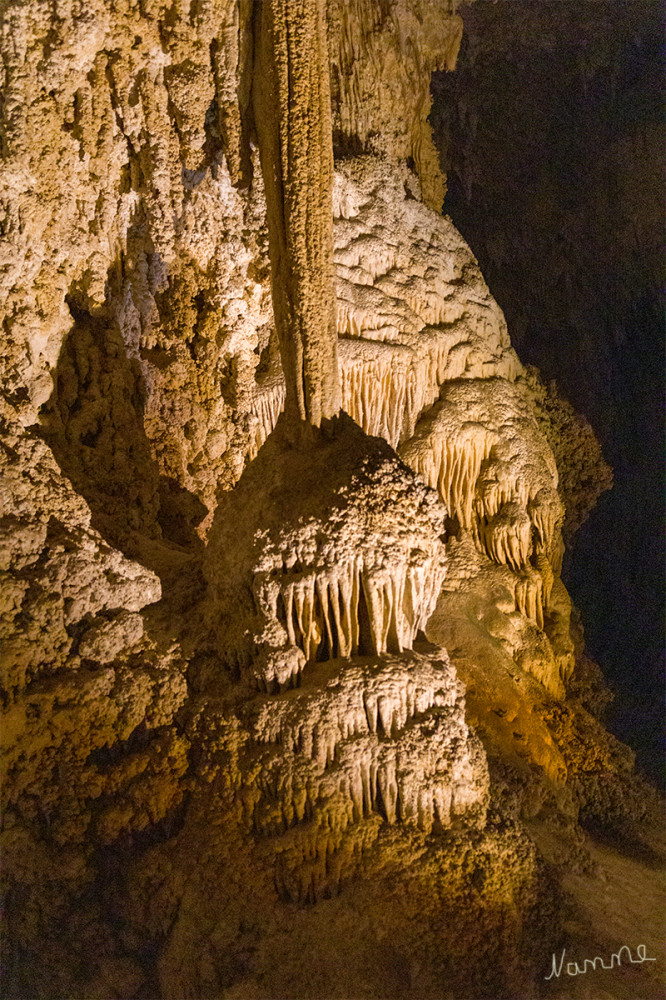 Carlsbad Caverns NP
New Mexico
Schlüsselwörter: 2025