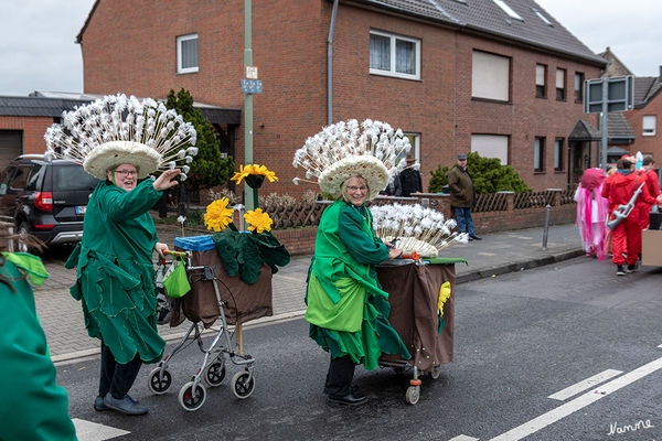 Tulpensonntag
Schlüsselwörter: Tulpensonntag