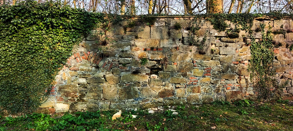 Architektur und Details "Schlossmauer"
Norbert
Schlüsselwörter: 2022