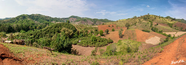 Im Dorf der Akha
Blick oben von der Kirche aus.
Die Akha leben als Bauern, die Wechselwirtschaft mit Trockenreis, Weizen, Bohnen, Knoblauch und anderen Gemüsesorten betreiben sowie Schweine und Wasserbüffel halten. Diese intensive Landwirtschaft versucht die thailändische Regierung in eine eher extensive Form umzusteuern.
laut Wikipedia
Schlüsselwörter: Thailand Akha