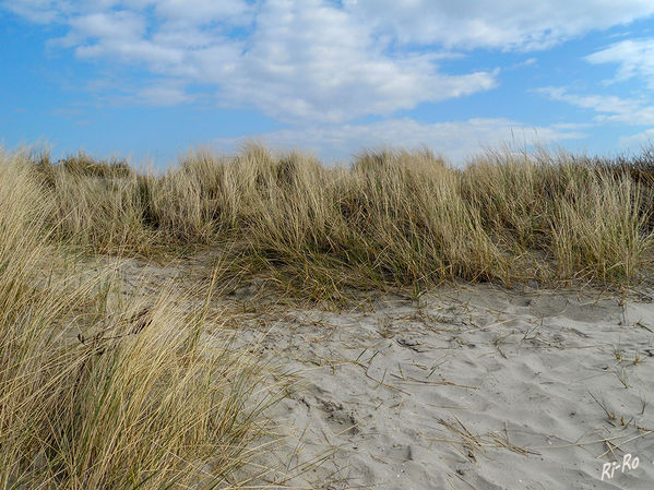 In den Dünen
Schlüsselwörter: Norddeich, Nordsee,