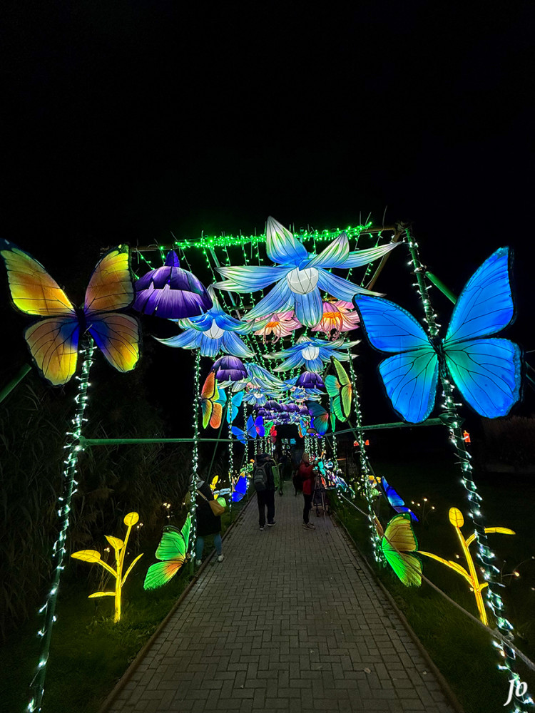 China Lights - Allee
Schlüsselwörter: 2025, Kleve